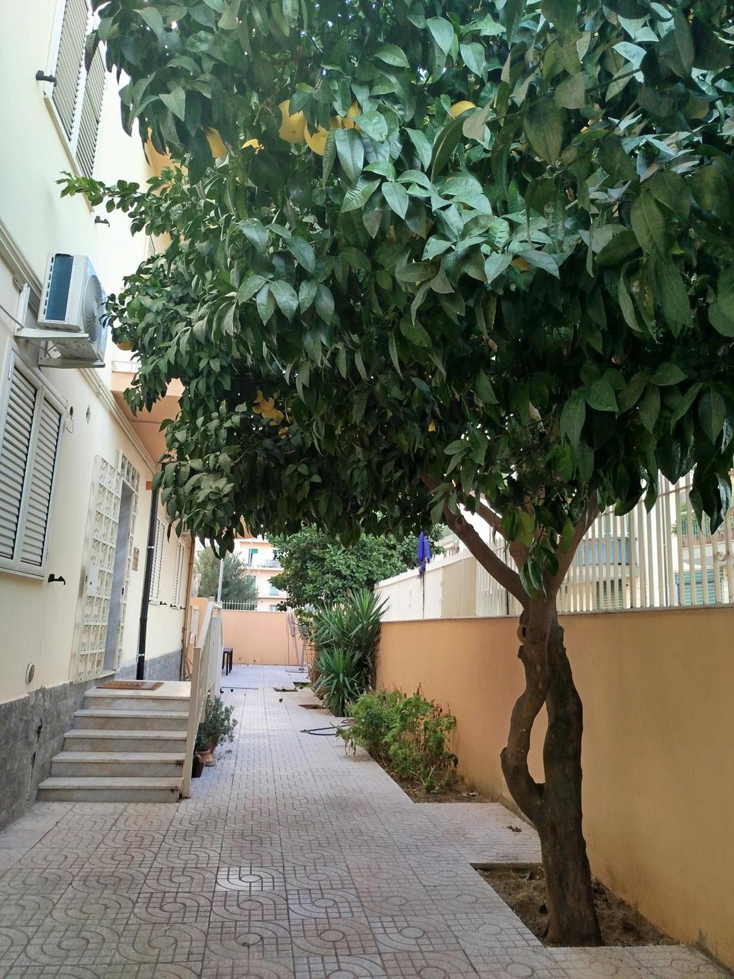 B&B Confort Reggio Calabria Exterior foto